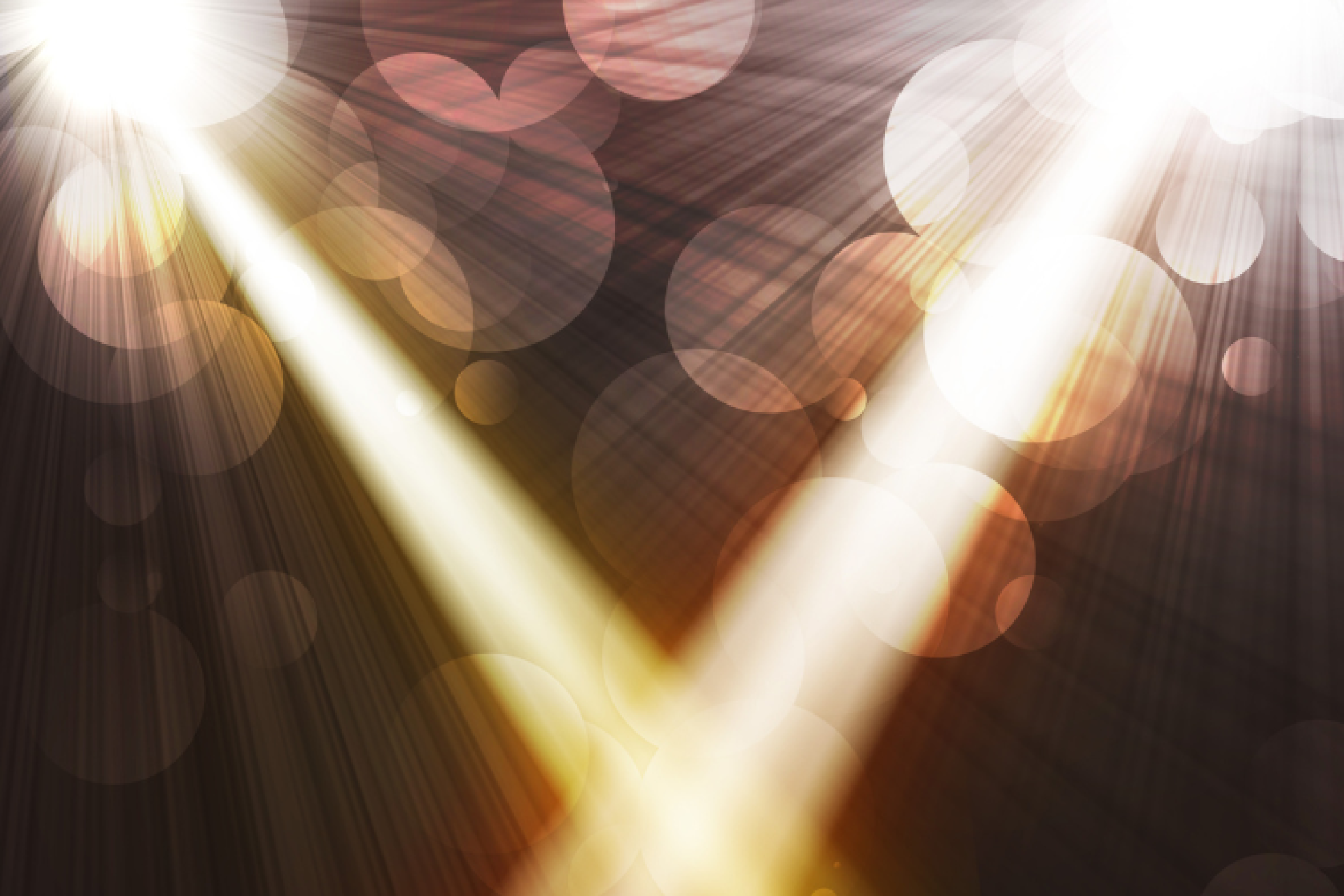 聚焦：新董事会成员 Kangela Moore 博士