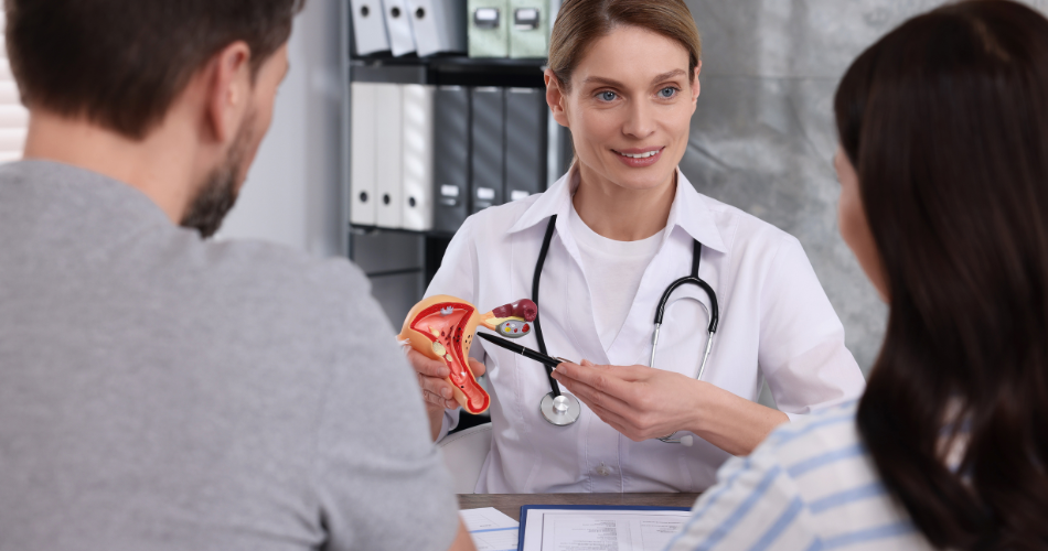 دعم تشريعات العدالة الإنجابية في نيويورك