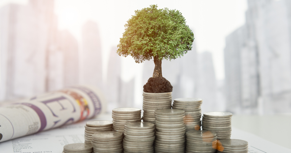 WCC, 교육 및 지역사회 복지 문제를 해결하려는 시장의 노력에 찬사를 보냅니다.